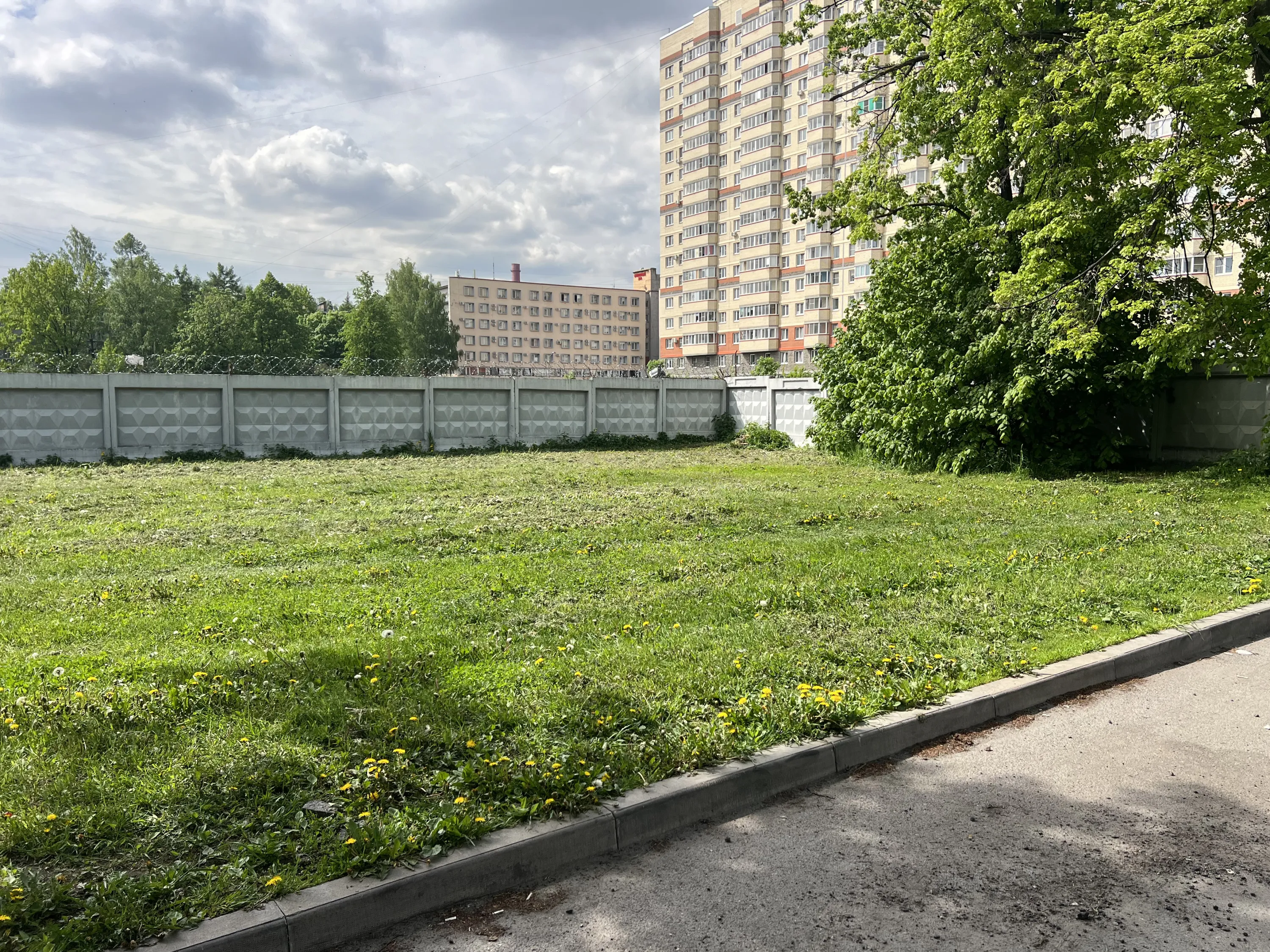 Аурум ход строительства