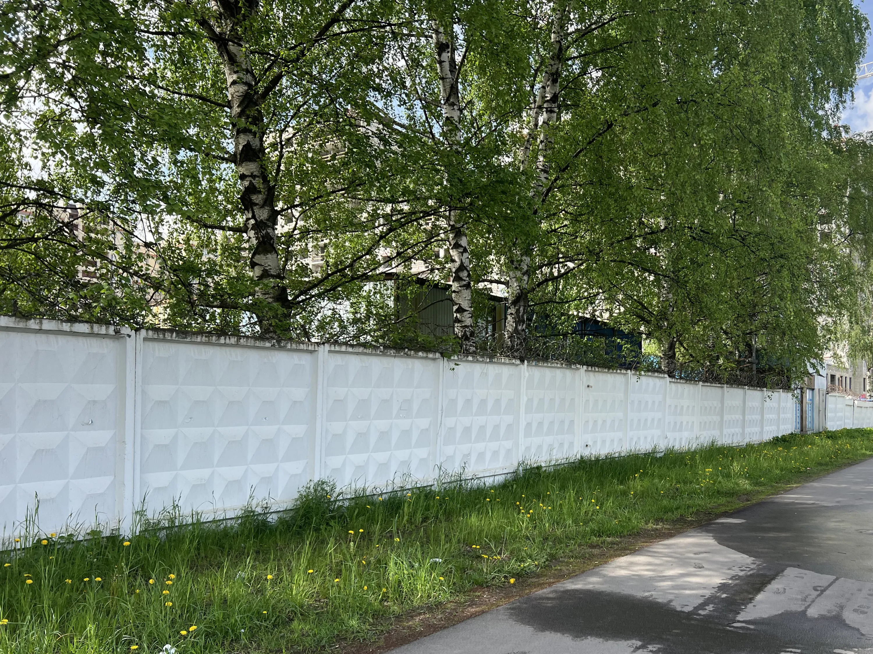 Аурум ход строительства