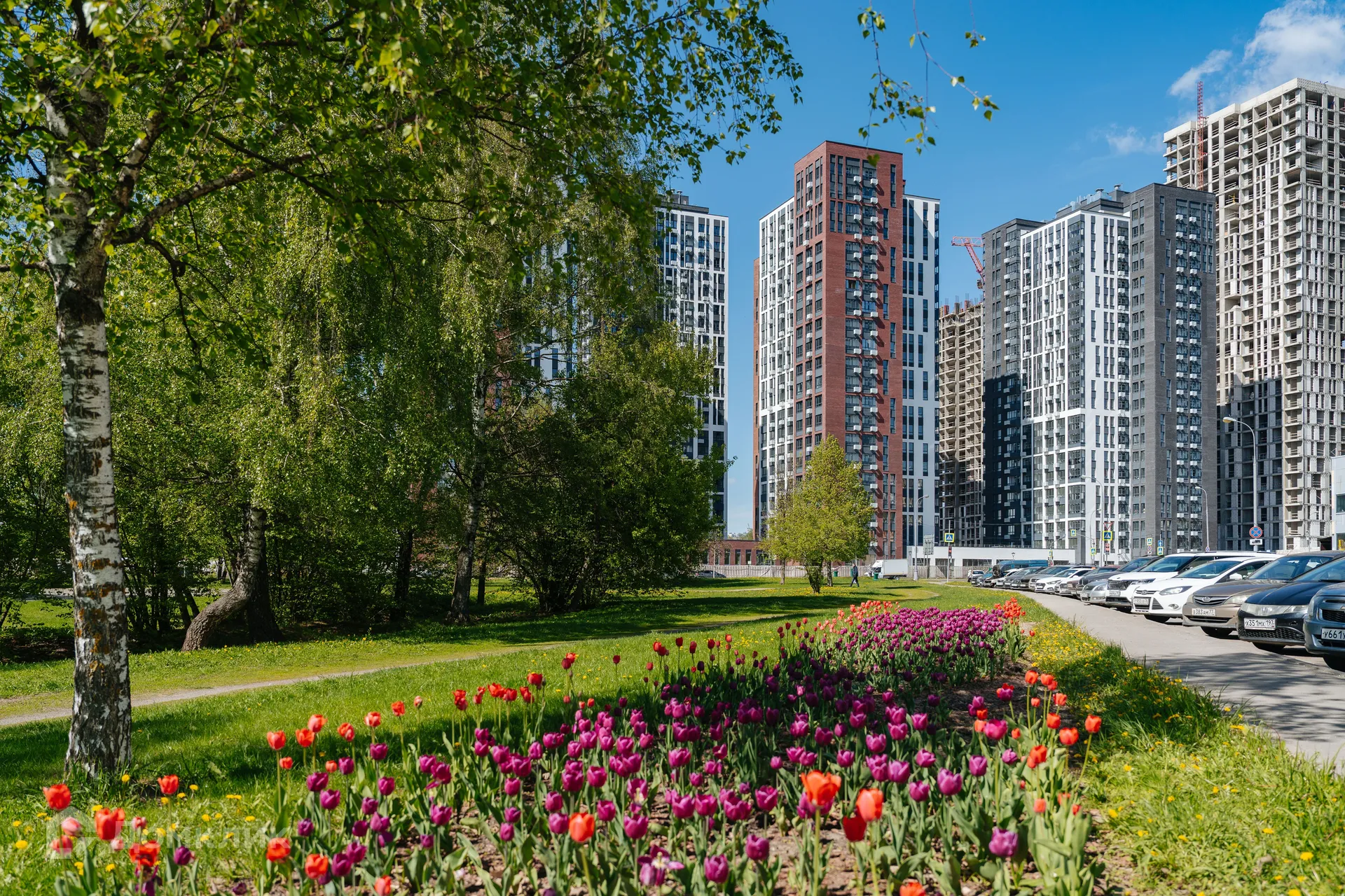Фото квартиры в ЖК "Южные сады"