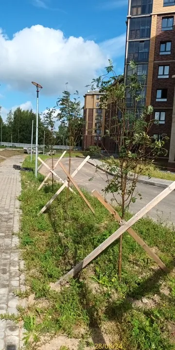 ЖК Орловский бульвар ход строительства