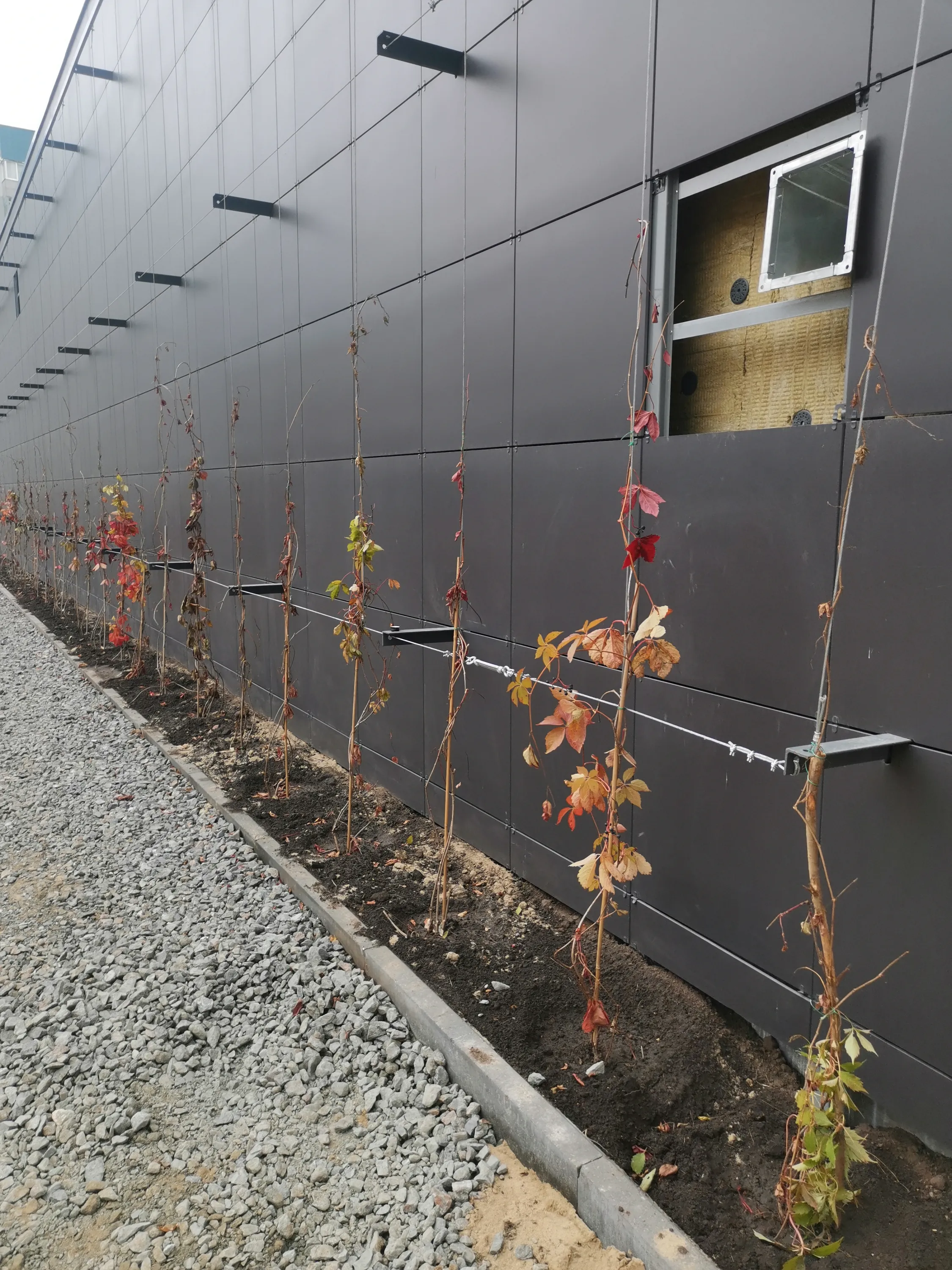 ЖК SREDA of LIFE (Среда оф Лайф) ход строительства