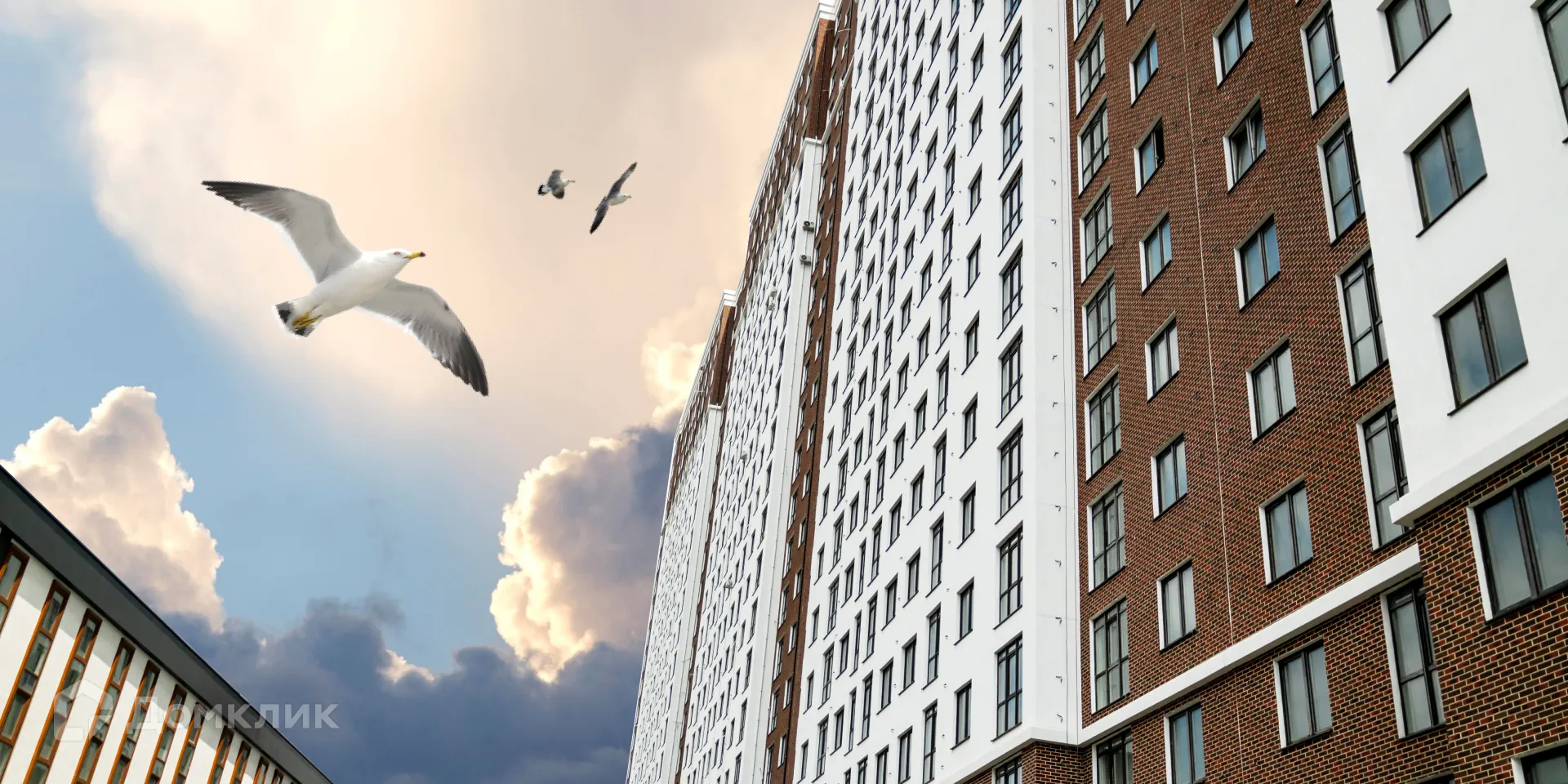 Планировка 1-комнатной квартиры 43.2 м² в ЖК ЖК Аврора 2, г. Новороссийск — фото 7