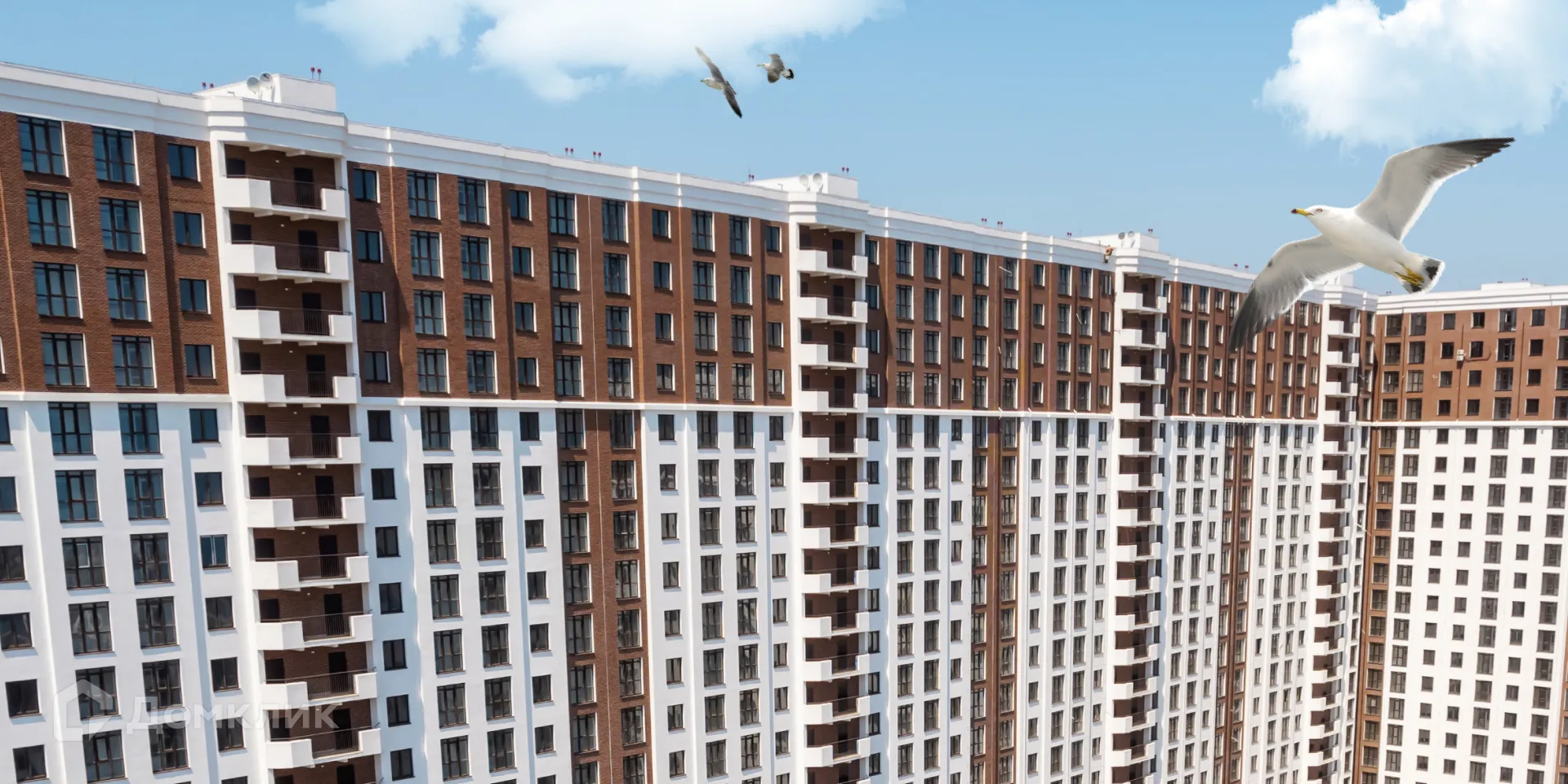 Планировка 1-комнатной квартиры 43.2 м² в ЖК ЖК Аврора 2, г. Новороссийск — фото 9