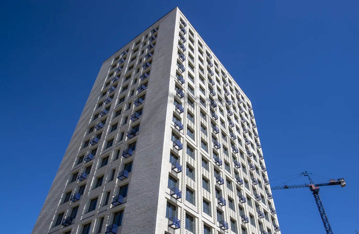 Фото ЖК Каштановая Роща