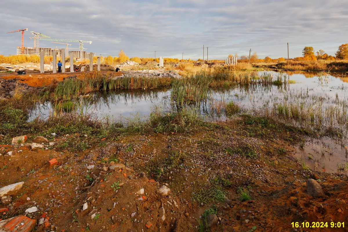ЖК Максималист ход строительства