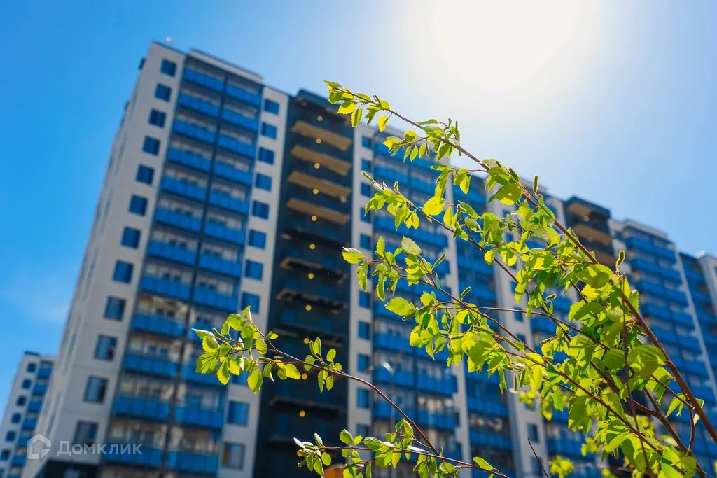 Планировка 1-комнатной квартиры 31.7 м² в ЖК ЖК "Лампо", г. Мурино — фото 9