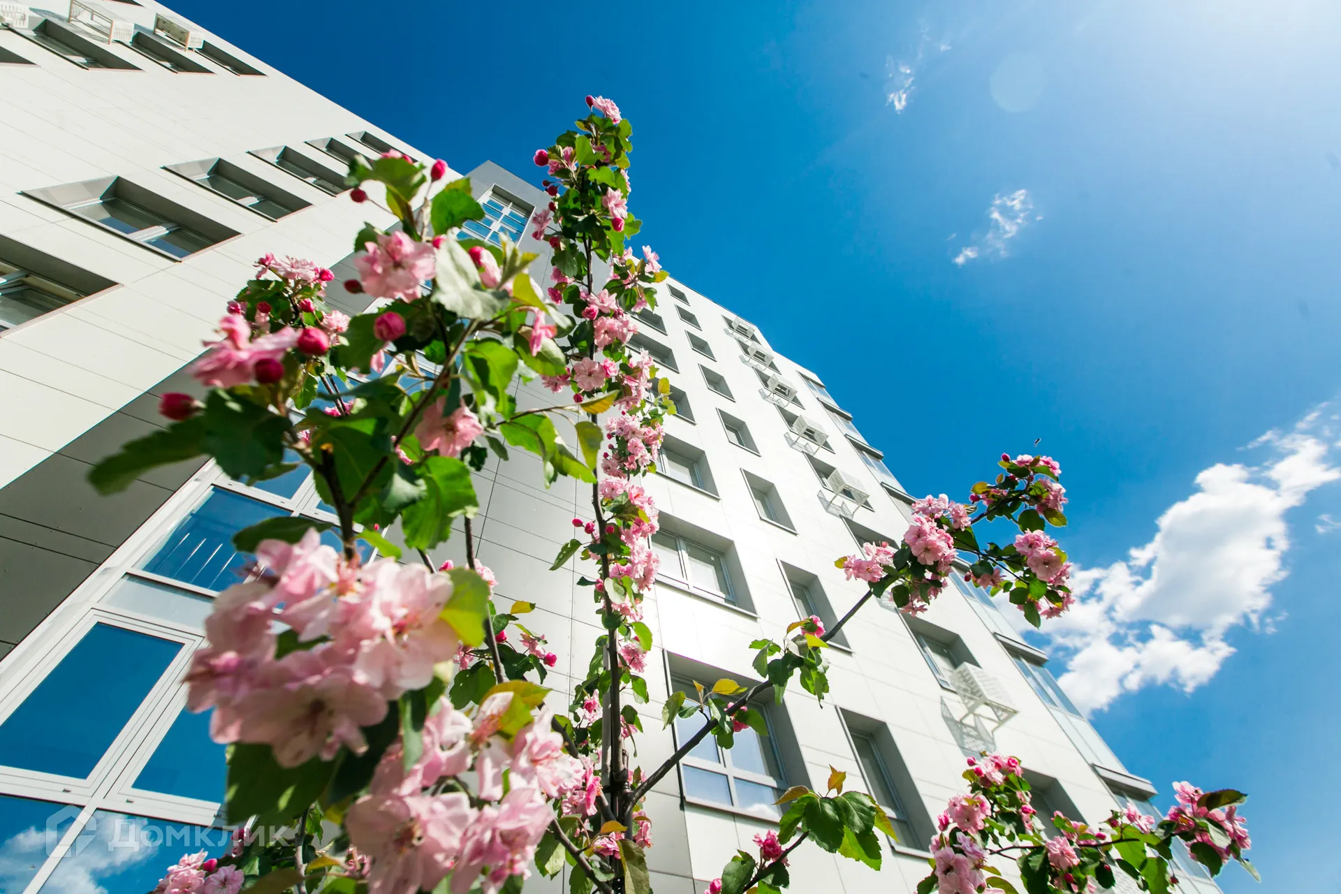 Фото квартиры в ЖК Лето