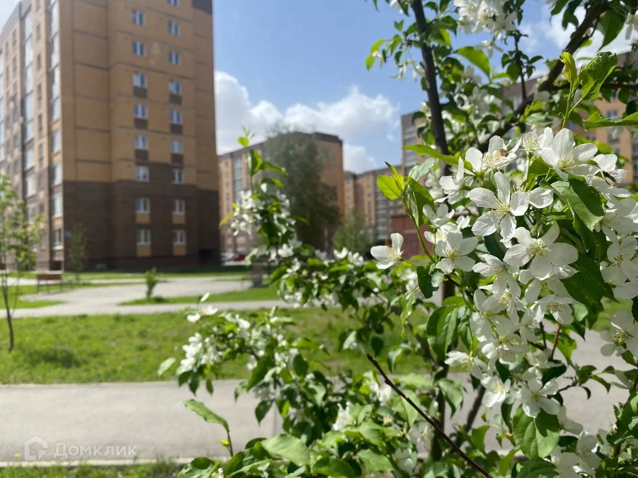 Фото квартиры в ЖК Дивногорский