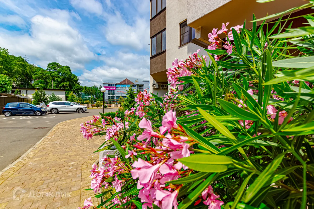 Планировка 2-комнатной квартиры 43.7 м² в ЖК ЖК "Дагомыс Парк", г. Сочи — фото 29