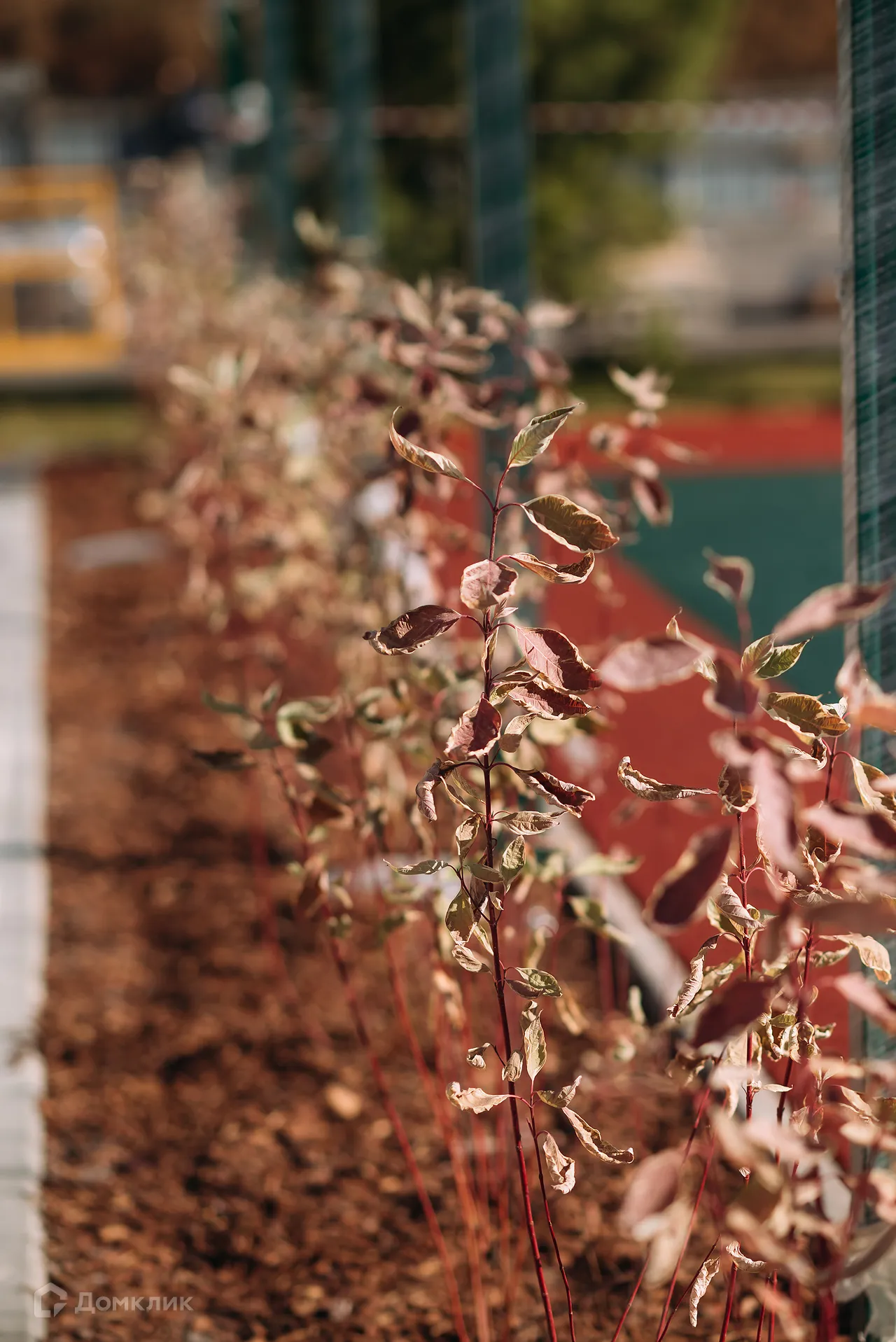 Планировка 2-комнатной квартиры 54.3 м² в ЖК ЖК Каскад, г. Стерлитамак — фото 13