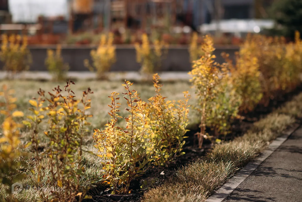 Планировка 2-комнатной квартиры 54.3 м² в ЖК ЖК Каскад, г. Стерлитамак — фото 14