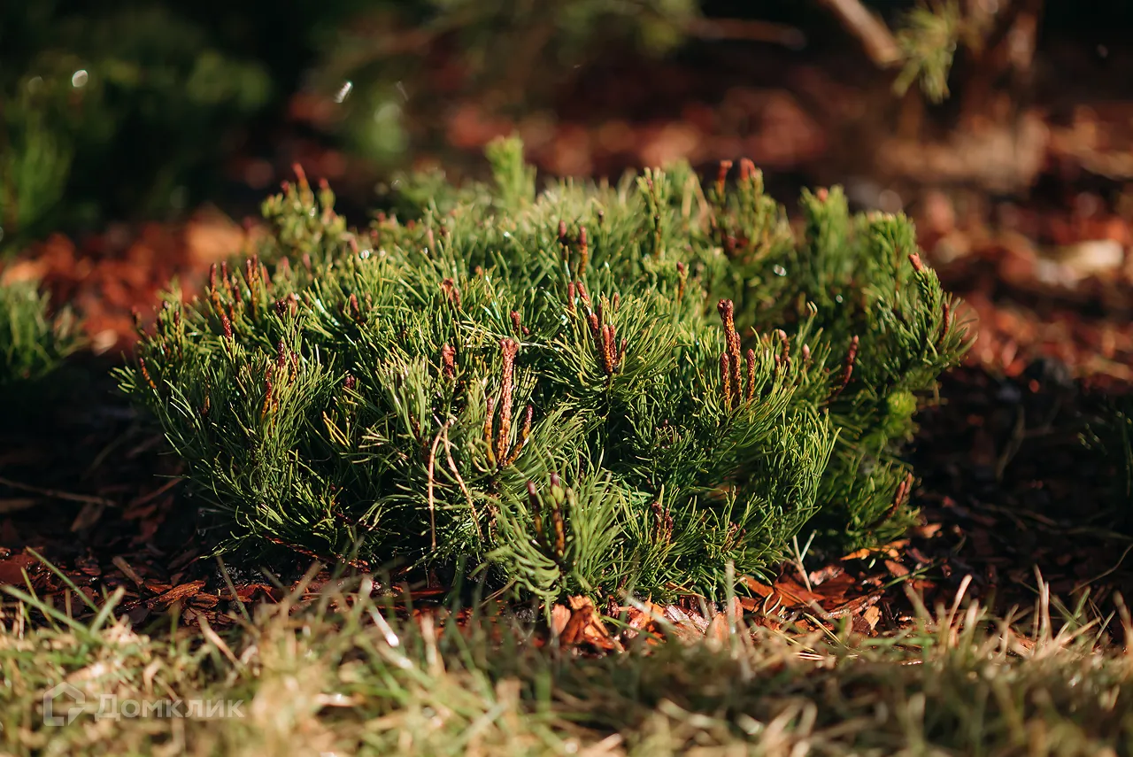 Планировка 2-комнатной квартиры 54.3 м² в ЖК ЖК Каскад, г. Стерлитамак — фото 16