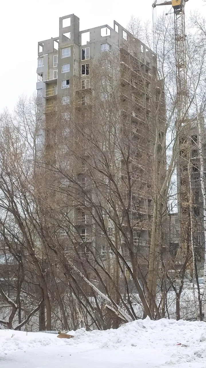 ЖК "Ежевика" ход строительства
