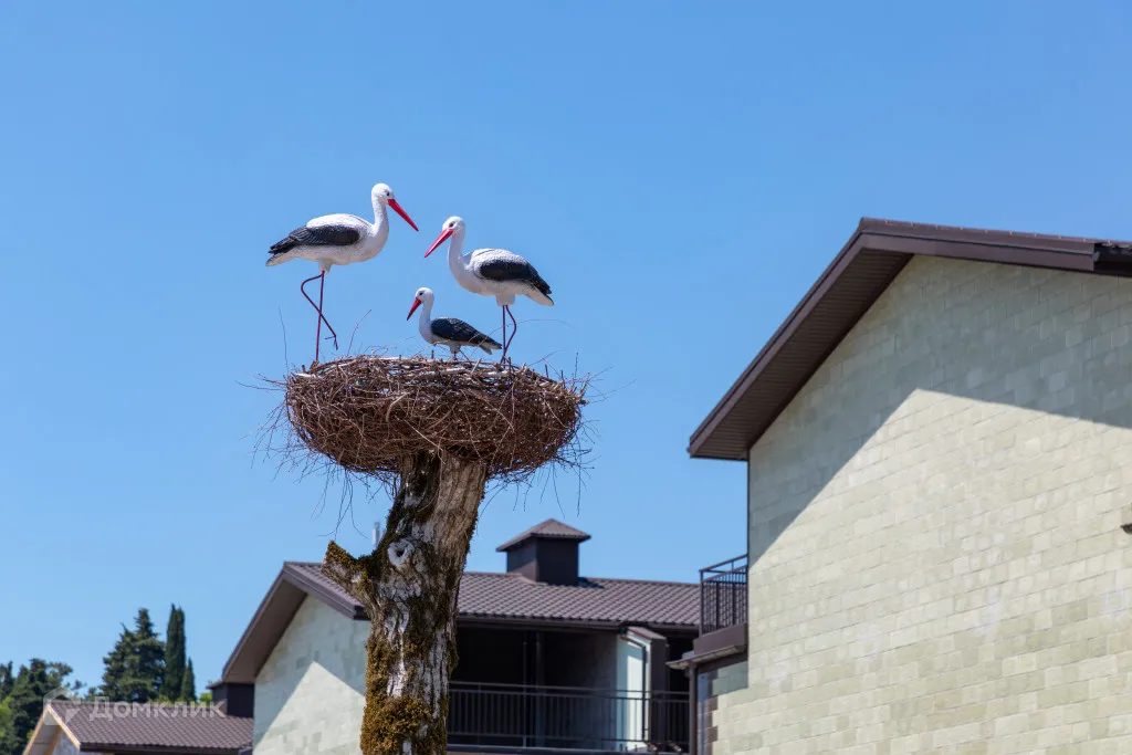 купить новостройку в ЖК Тюльпановка