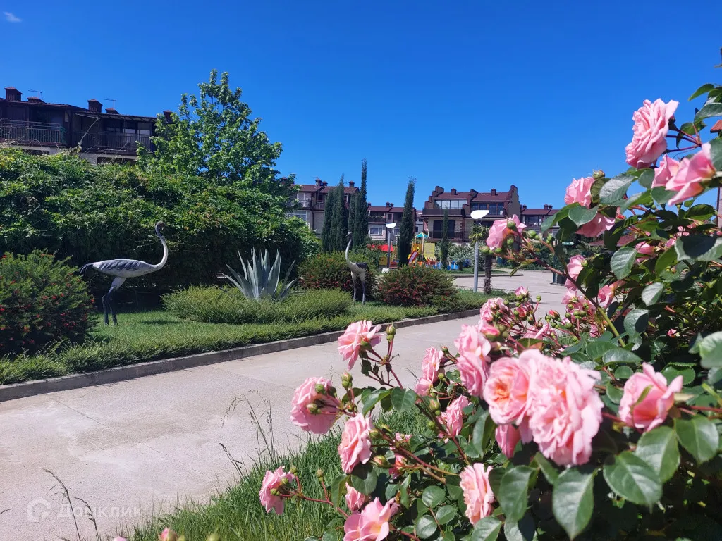 купить новостройку в ЖК Тюльпановка