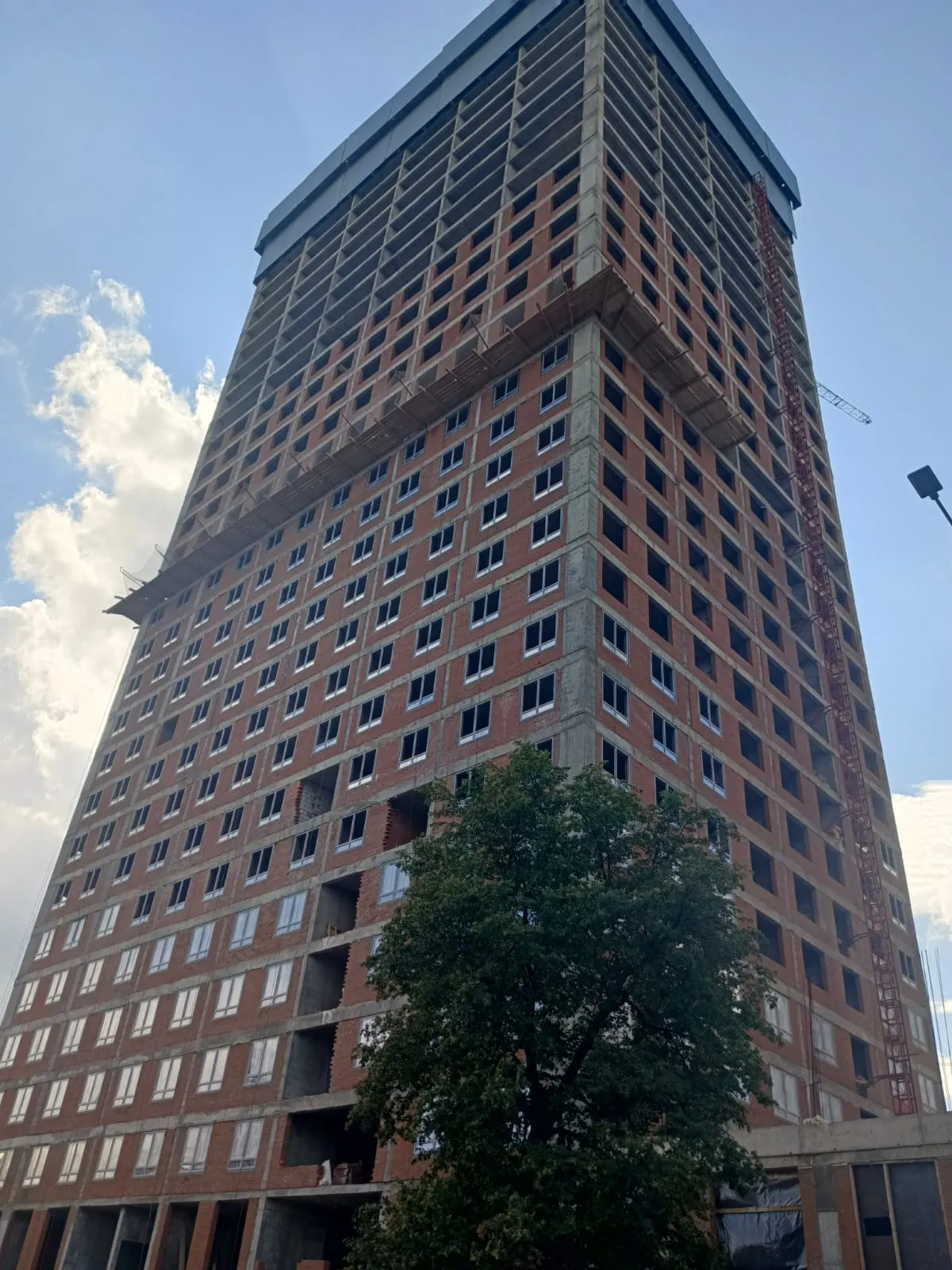 Фото Централ парк