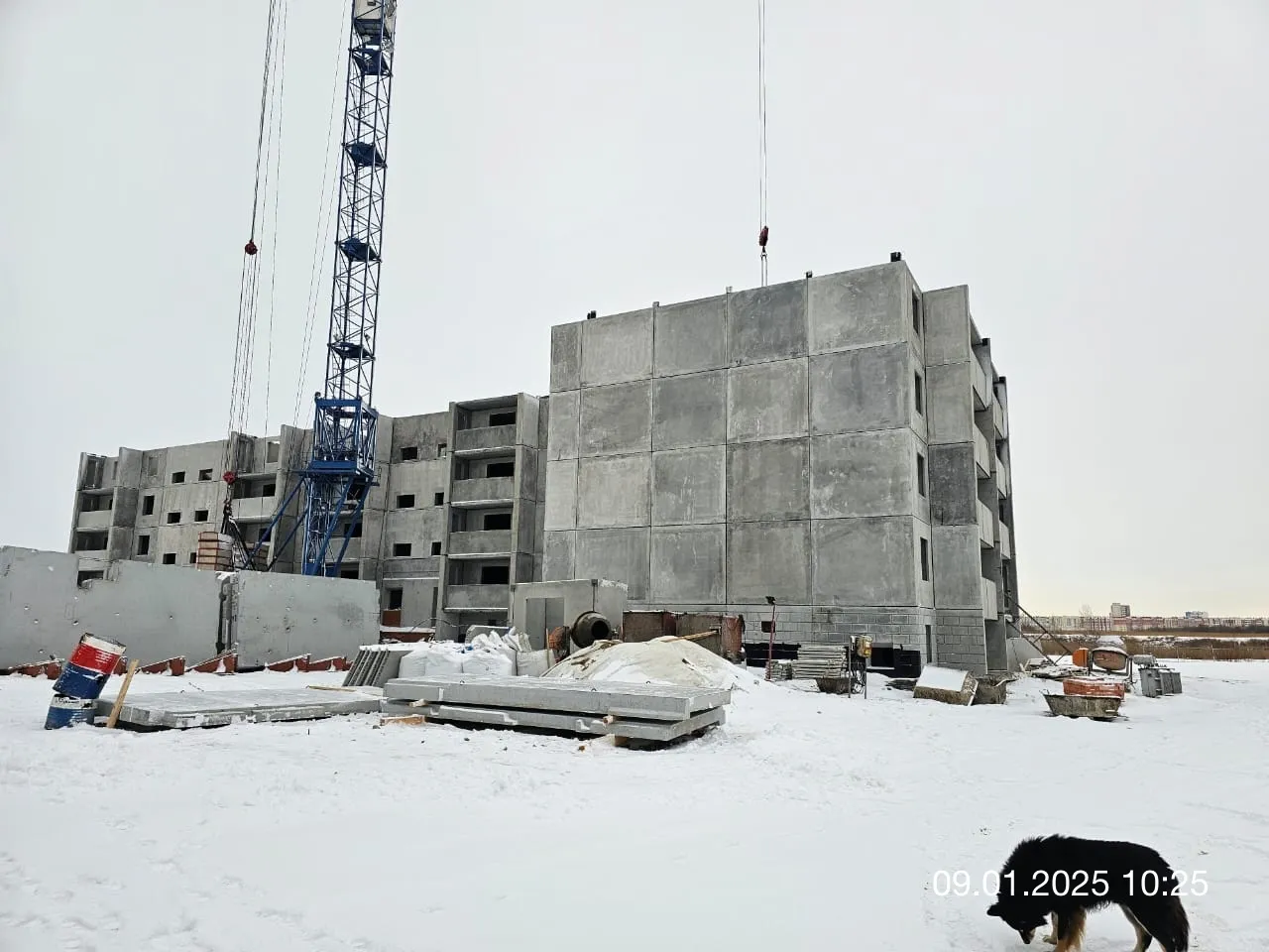 ЖК по ул. Кулибина ход строительства