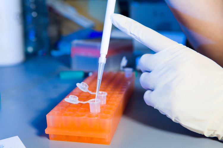 scientificrussia.ru