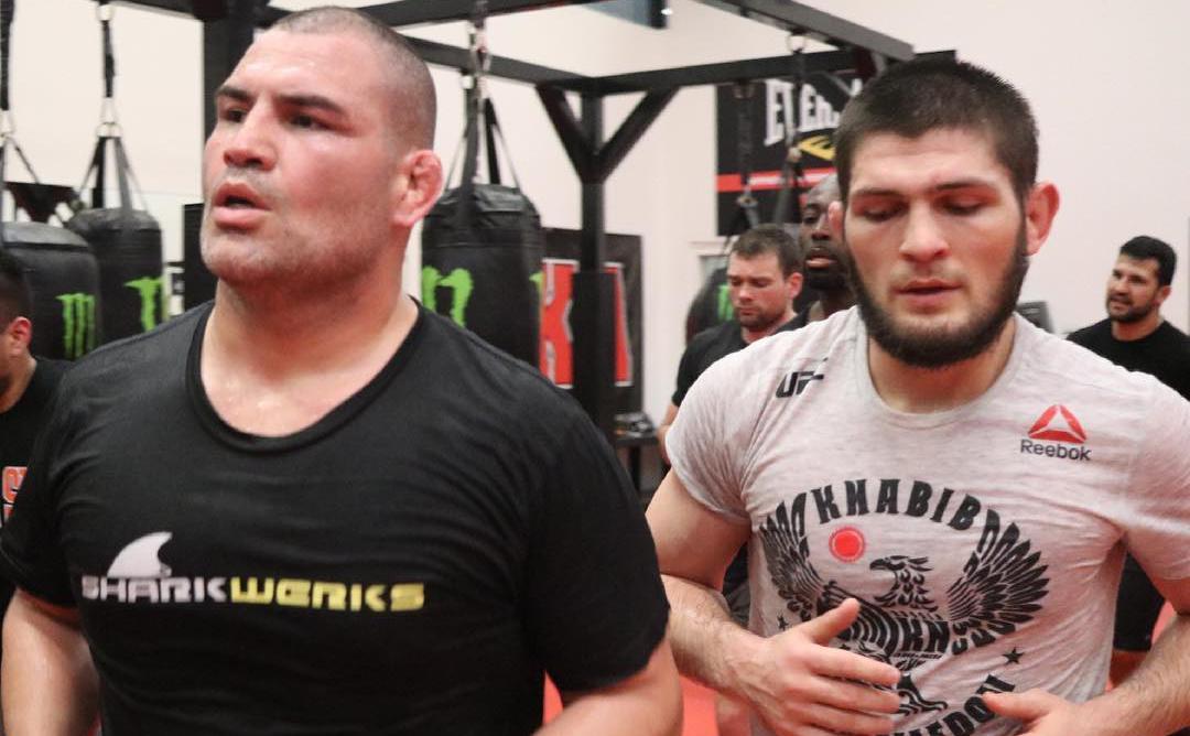 Экс-чемпионы UFC Кейн Веласкес и Хабиб Нурмагомедов во время тренировки (Global Look Press)