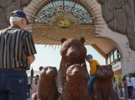 luchik i zvezdochka druzhba malajskih medvezhat v moskovskom zooparke-tstpp-ru-174231356500-0