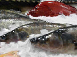 Российские минтай и треска в тисках санкций США и переговоров в Эр-Рияде rossijskie mintaj i treska v tiskah sankczij ssha i peregovorov v erriyade-tstpp-ru-174297385000-0