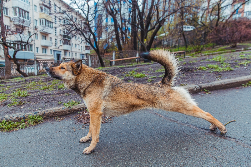 Фото: primamedia.ru