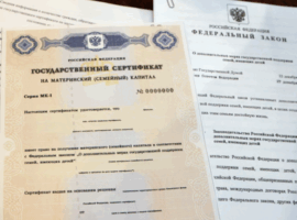 Галина Гузаева разъяснила условия маткапитала для семей с детьми за рубежом galina guzaeva razyasnila usloviya matkapitala dlya semej s detmi za rubezhom-tstpp-ru-174523615300-0