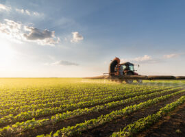 Илья Березнюк утверждает рост АПК требует новых PR-кадров для Минсельхоза ilya bereznyuk utverzhdaet rost apk trebuet novyh kadrov dlya minselhoza-tstpp-ru-174487821100-0