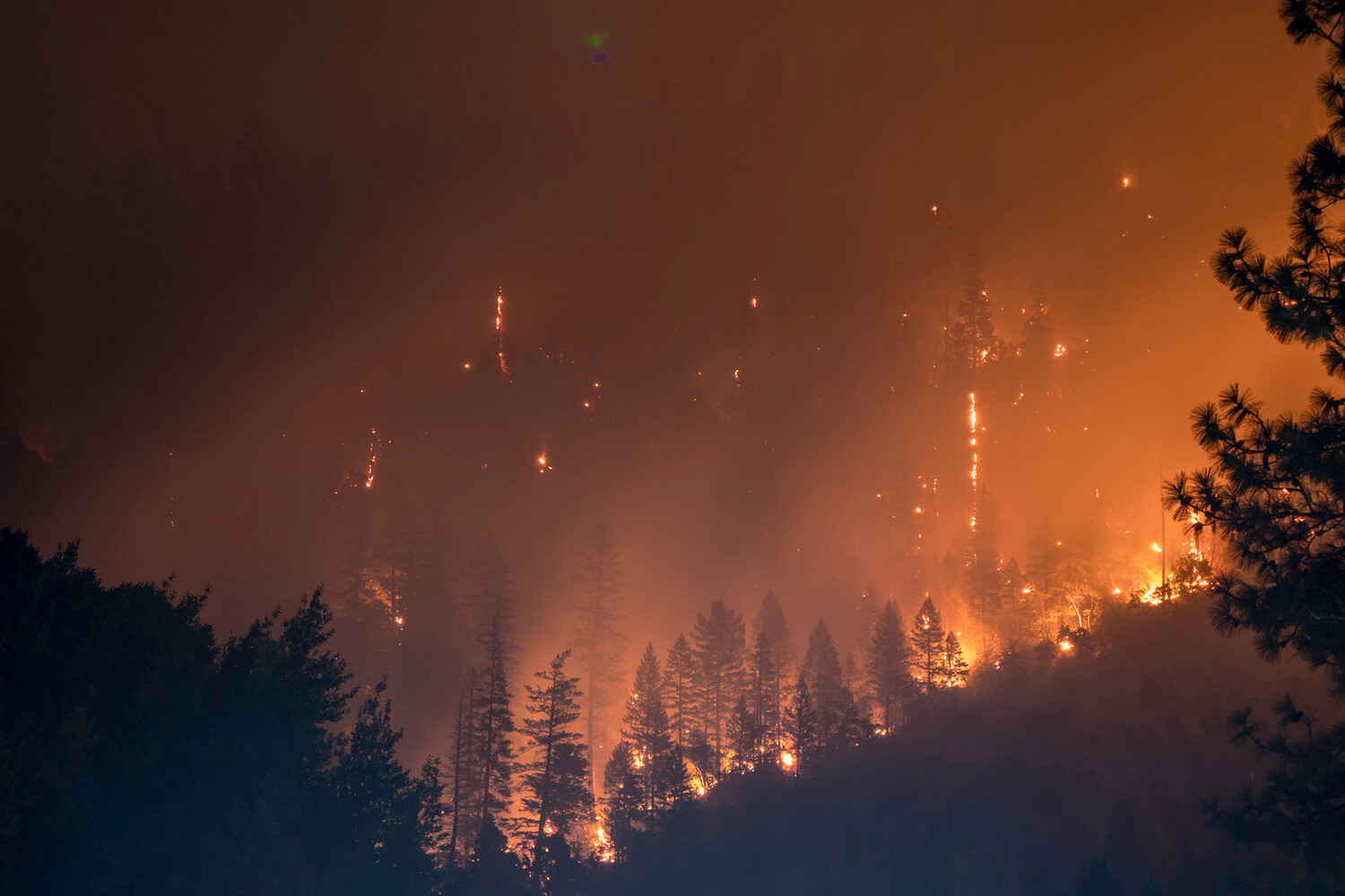 Исследование Джейсона Нана о влиянии Camp Fire на когнитивные способности-0