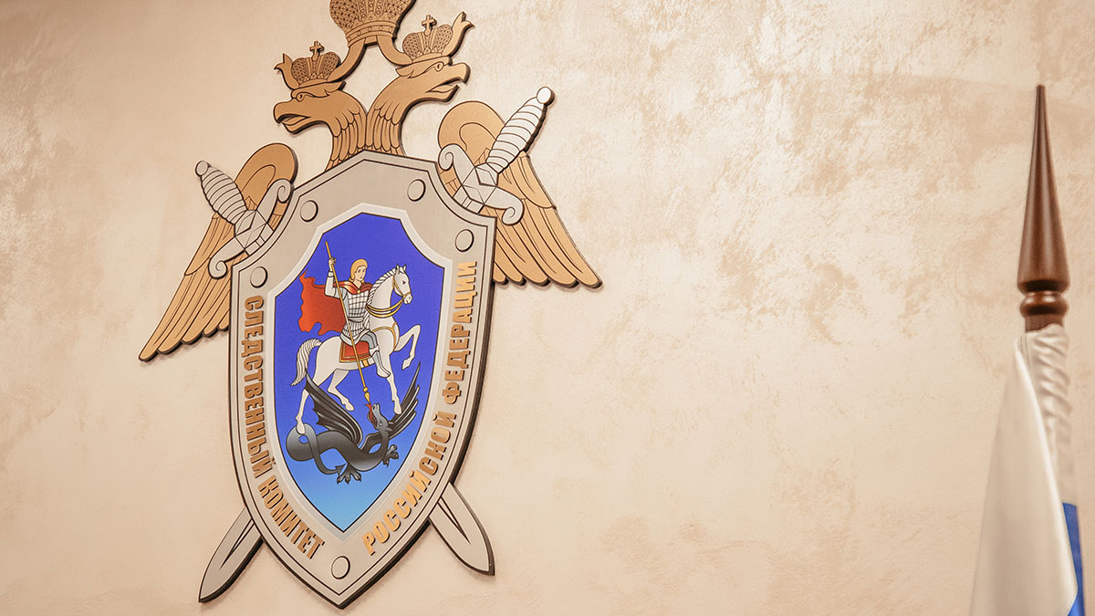 СК предъявил обвинение мужчине, до смерти избившему сожительницу в Подмосковье