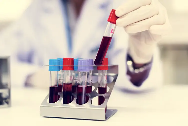 scientificrussia.ru