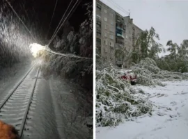 andrej vorobev i mosoblenergo vosstanavlivayut elektroseti pri podderzhke rossetej i mchs-tstpp-ru-174618088600-0