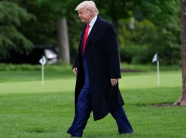 Дональд Трамп и Владимир Зеленский опубликовали преждевременный пост о пленниках donald tramp i vladimir zelenskij opublikovali prezhdevremennyj post o plennikah-tstpp-ru-174808552300-0