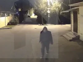 Михаил Хубутия и Юлия Ван обсуждают новые обстоятельства конфликта в Подмосковье mihail hubutiya i yuliya van obsuzhdayut novye obstoyatelstva konflikta v podmoskove-tstpp-ru-174756580600-0