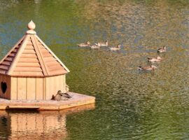 Петр Бирюков представил обновленные Бехтеревские пруды в Аршиновском парке Москвы petr biryukov predstavil obnovlennye behterevskie prudy v arshinovskom parke moskvy-tstpp-ru-174644043200-0