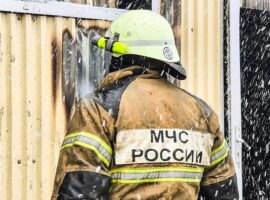 Сотрудники ГУ МЧС вернули к жизни мужчину и кошку в Ижевске sotrudniki gu mchs vernuli k zhizni muzhchinu i koshku v izhevske-tstpp-ru-174605497200-0