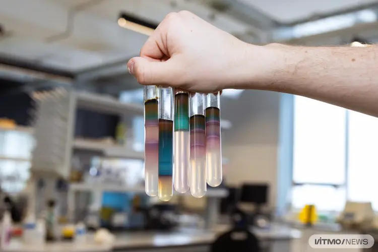 scientificrussia.ru