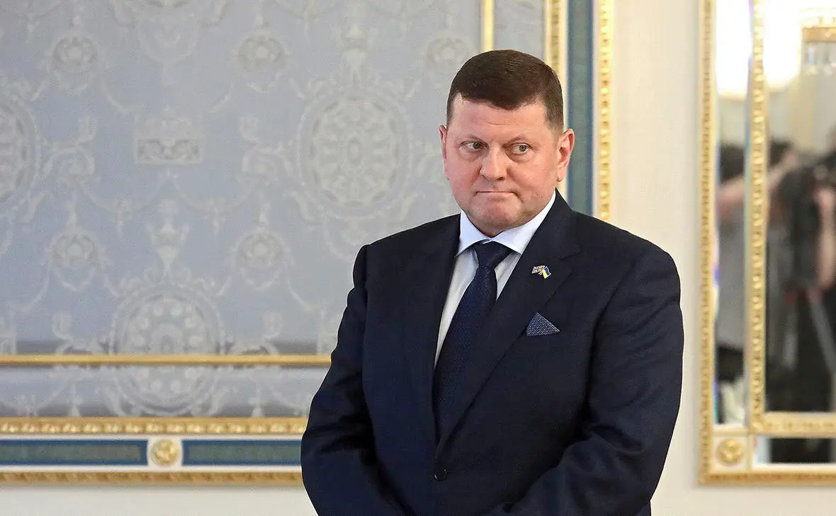 Валерий Залужный (Tarasov / Keystone Press Agency / Global Look Press)