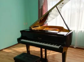 Зайковская ДШИ получила новое оборудование, радуя юных талантов zajkovskaya dshi poluchila novoe oborudovanie raduya yunyh talantov-tstpp-ru-0