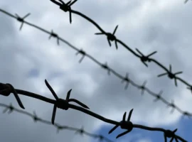 Мэри Кей Летурно и Вили Фуалау рассказывают о необычной любви после испытаний meri kej leturno i vili fualau rasskazyvayut o neobychnoj lyubvi posle ispytanij-tstpp-ru-0