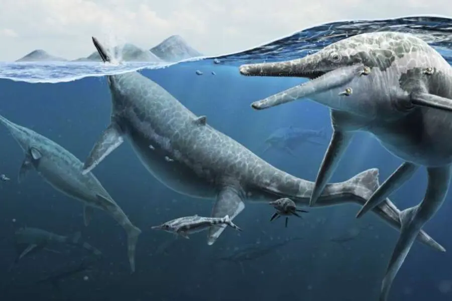 Палеонтологи нашли новый вид ихтиозавра Eurhinosaurus mistelgauensis в Германии-0