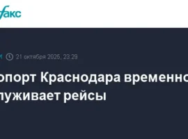Аэропорт Краснодара сообщает о временной приостановке рейсовых операций aeroport krasnodara soobshhaet o vremennoj priostanovke rejsovyh operaczij-tstpp-ru-0