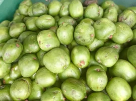 Актинидия и кишмиш представлены на рынках Владивостока из Приморья, Китая и Израиля aktinidiya i kishmish predstavleny na rynkah vladivostoka iz primorya kitaya i izrailya-tstpp-ru-0