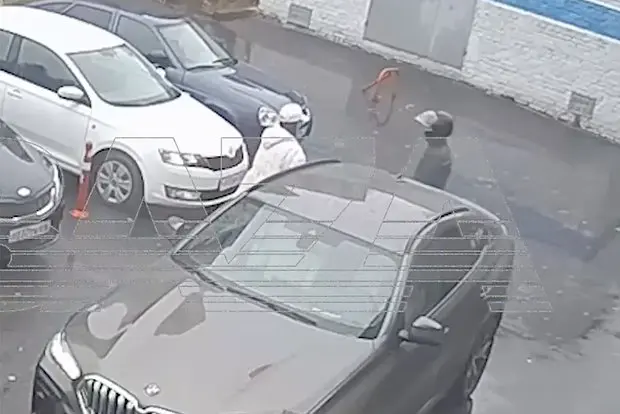 Вводная картинка