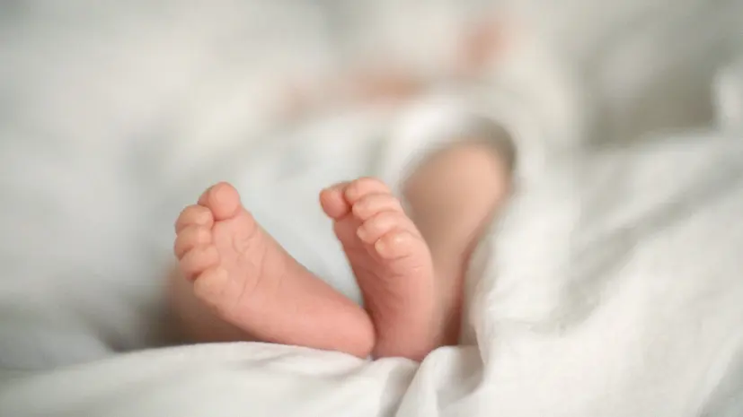 В Госдуме раскрыли, что входит в подарок для новорождённого и как его получить