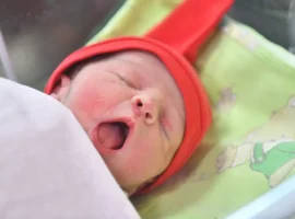 Алексей Говырин рассказывает, как получить набор для малышей через ЗАГС и Госуслуги aleksej govyrin rasskazyvaet kak poluchit nabor dlya malyshej cherez zags i gosuslugi-tstpp-ru-0