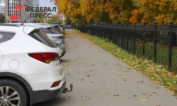 Цифровое Приморье укрепляет парковочную справедливость для автовладельцев Владивостока-0