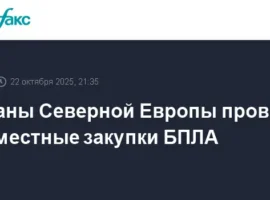 Дания, Финляндия, Норвегия и Швеция укрепляют позиции НАТО с новыми БПЛА daniya finlyandiya norvegiya i shvecziya ukreplyayut poziczii nato s novymi bpla-tstpp-ru-0