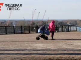 Депутаты Госсобрания Башкирии обсудили инициативу ЛДПР и Юрия Рудакова о маткапитале deputaty gossobraniya bashkirii obsudili inicziativu ldpr i yuriya rudakova o matkapitale-tstpp-ru-0