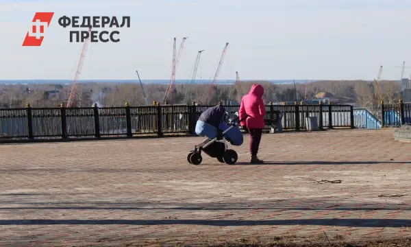 Депутаты Госсобрания Башкирии обсудили инициативу ЛДПР и Юрия Рудакова о маткапитале-0